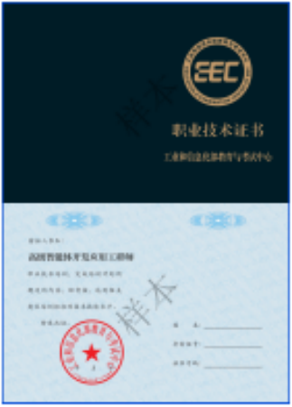 智能体开发应用工程师职业技术证书样本