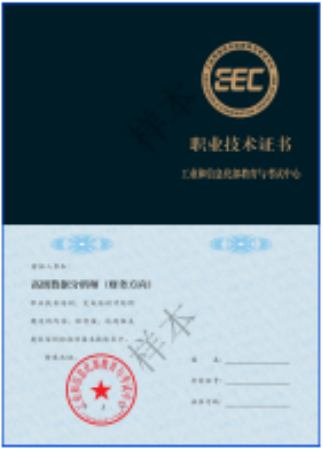 数据分析师（财务方向）职业技术证书样本