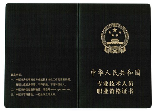 专业技术人员职业资格证书（样本）